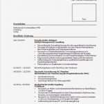 Lebenslauf Berufsanfänger Vorlage Wunderbar Lebenslauf Young Professional Berufsanfänger