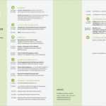 Lebenslauf Design Vorlage Elegant Lebenslauf Muster Als Vorlage