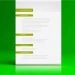 Lebenslauf Design Vorlage Schönste Lebenslauf Vorlage Design Für Word Und Open Fice