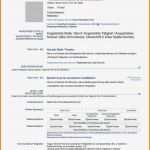 Lebenslauf Deutsch Vorlage Wunderbar 10 Cv Deutsch Muster