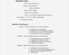 Lebenslauf Din 5008 Vorlage Word Download Bewundernswert [elektronische Lebenslaufvorlagen] 90 Images Vorlage