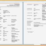 Lebenslauf Din 5008 Vorlage Word Download Erstaunlich 6 Lebenslauf Din 5008