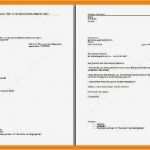 Lebenslauf Din 5008 Vorlage Word Download Luxus 12 Vorlage Din 5008 Word