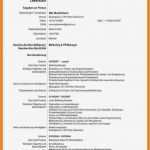 Lebenslauf Englisch Vorlage Pdf Gut 13 Muster Lebenslauf Englisch