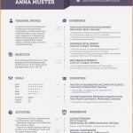Lebenslauf Englisch Vorlage Wunderbar 10 Englisch Cv Vorlage