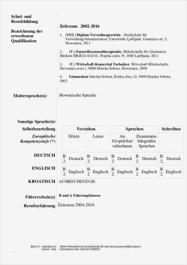 Lebenslauf Europass Vorlage Word Gut Lebenslauf Europass Lebenslauf Beispiel Karriereat