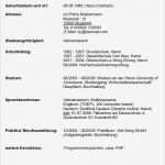 Lebenslauf Europass Vorlage Word Luxus Lebenslauf Curriculum Vitae