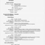 Lebenslauf Europass Vorlage Word Schönste Eu Lebenslauf Beispiel Elegant Schön Europass Lebenslauf