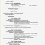 Lebenslauf Friseurin Vorlage Bewundernswert Großartig Haar Salon Lebenslauf Beispiele Ideen Beispiel