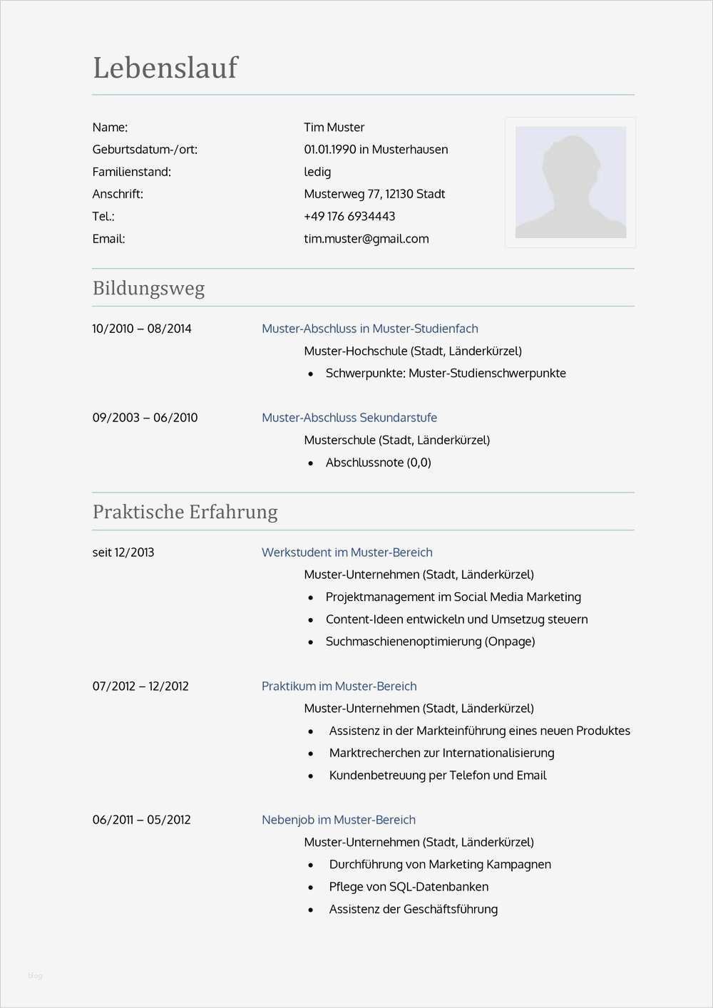 Lebenslauf HTML Vorlage Süß Lebenslauf Aufbau Muster Lebenslauf Beispiel