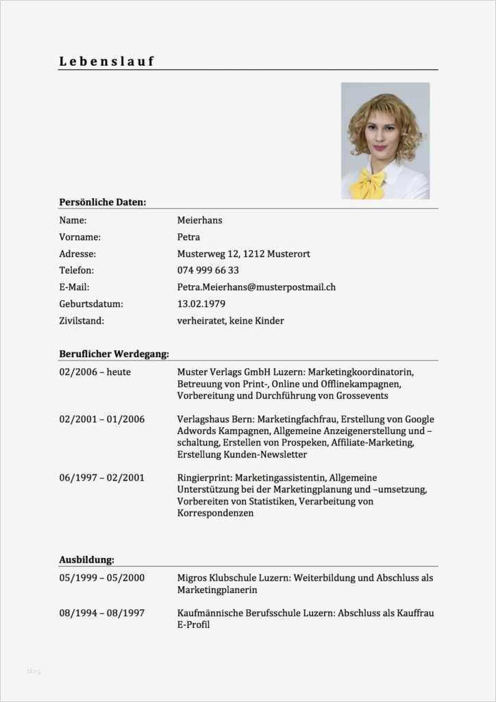 Lebenslauf HTML Vorlage Süß Lebenslauf Publikationen Katholische Lebenslauf