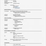 Lebenslauf HTML Vorlage Wunderbar Lebenslauf Vorlage Ferienjob Lebenslauf Beispiel
