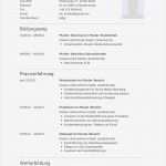 Lebenslauf Informatiker Vorlage Erstaunlich Bewerbungsmuster Für Programmierer