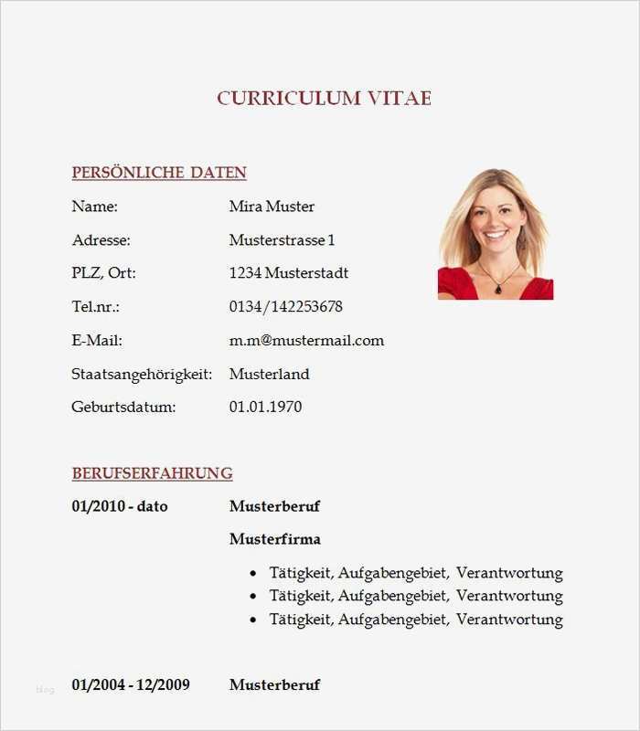 Lebenslauf Informatiker Vorlage Großartig Lebenslauf Vorlage Informatiker