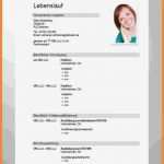 Lebenslauf Ingenieur Vorlage Best Of 8 Lebenslauf Modern Vorlage