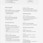 Lebenslauf Ingenieur Vorlage Luxus Lebenslauf Muster Für Ingenieur
