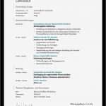 Lebenslauf Ingenieur Vorlage Süß [eingebettete Ingenieur Lebenslauf Vorlage] 100 Images