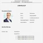 Lebenslauf Ingenieur Vorlage Süß Lebenslauf Vorlage Bauingenieur Bzw Bauingenieurin