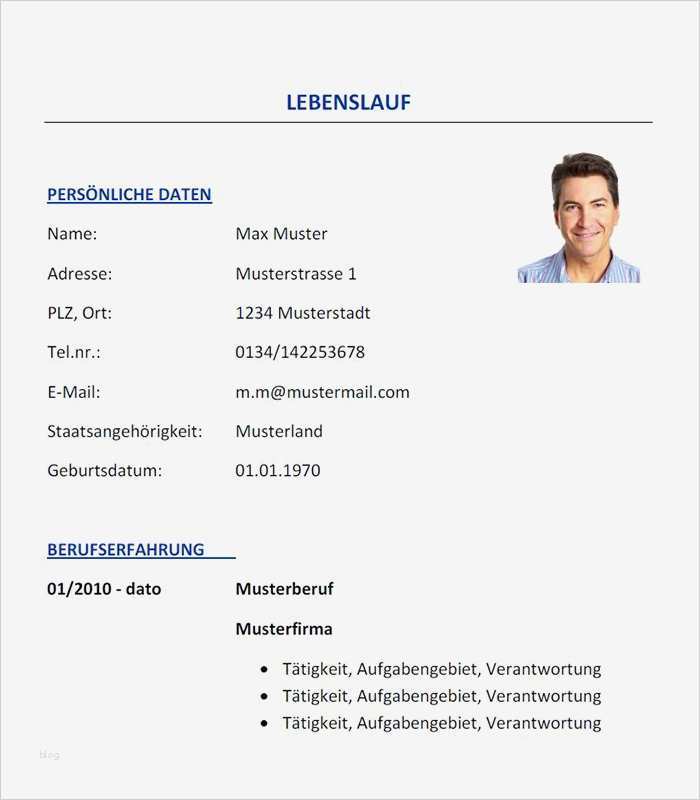 Lebenslauf Kostenlose Vorlage Elegant Professioneller Lebenslauf Vorlage Kostenlos Lebenslauf