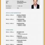 Lebenslauf Kostenlose Vorlage Hübsch 8 Kurzlebenslauf Vorlage