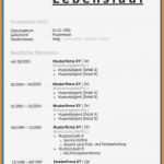 Lebenslauf Kostenlose Vorlage Neu 10 Bewerbung Lebenslauf Vorlage