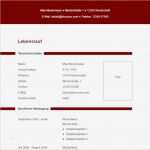 Lebenslauf Kostenlose Vorlage Wunderbar Vorlage 15 Tabellarischer Lebenslauf