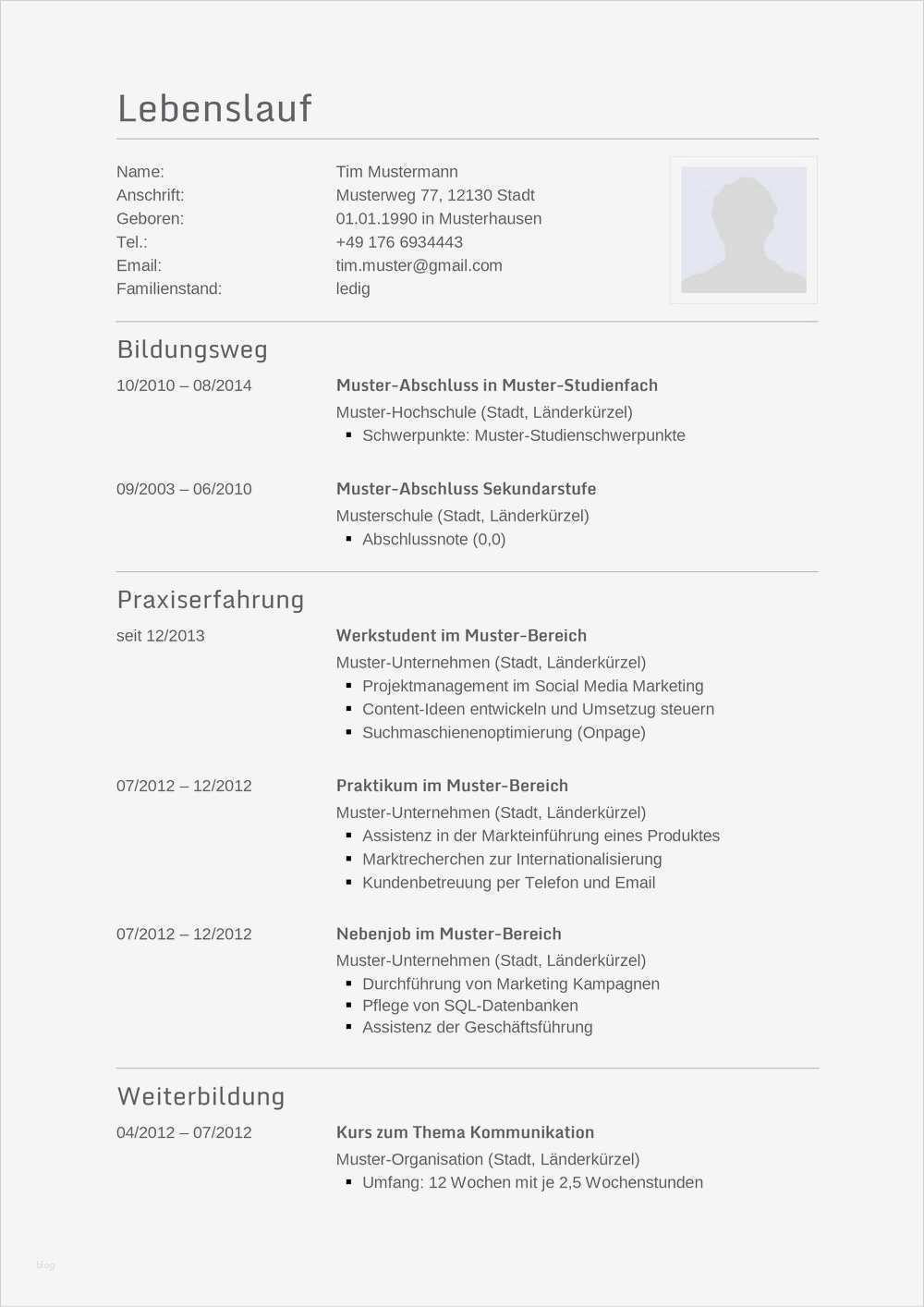 Lebenslauf Künstler Vorlage Fabelhaft Lebenslauf Muster Für Programmierer