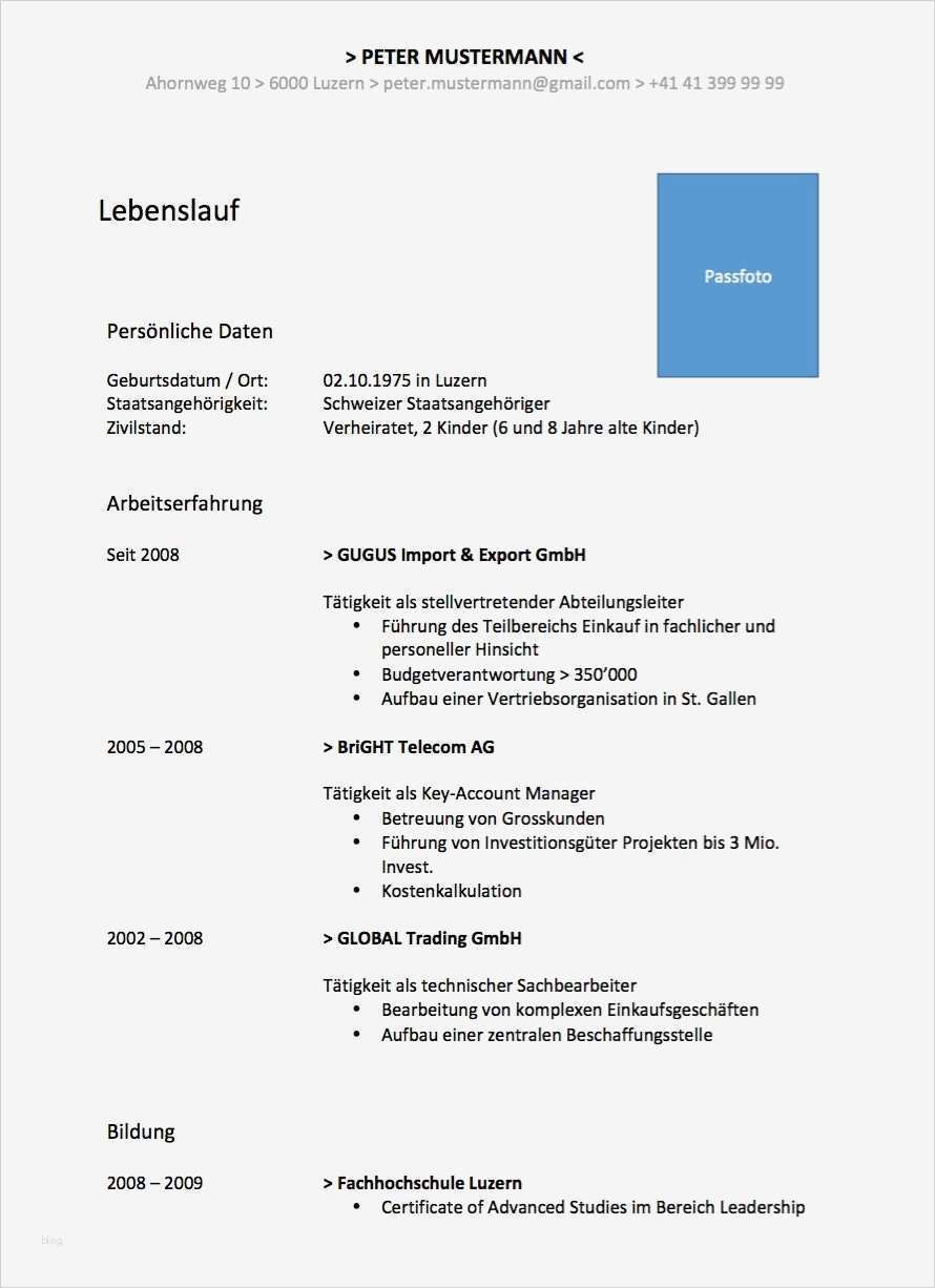 Lebenslauf Künstler Vorlage Hübsch Nett Fachhochschul Lebenslauf Galerie Entry Level Resume