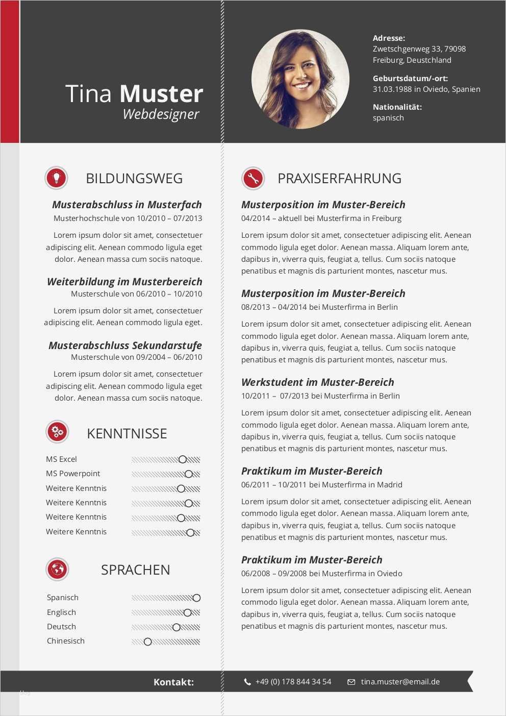 Lebenslauf Künstler Vorlage Hübsch Premium Bewerbungsmuster 4