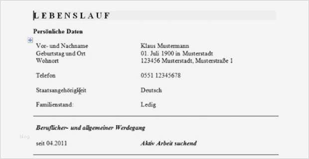 Lebenslauf Kurz Vorlage Best Of Muster Lebenslauf Klicken Und Finden Sie Es Auf Excite De