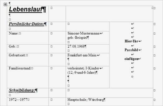 Lebenslauf Kurz Vorlage Süß Lebenslauf Muster