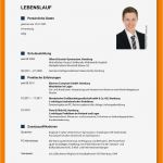 Lebenslauf Mit Bild Vorlage Süß 8 Lebenslauf Mit Bild