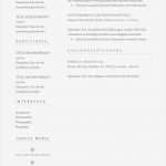 Lebenslauf Muster Vorlage Süß Premium Bewerbungsmuster 11