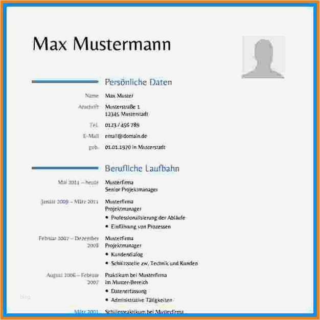 12 word lebenslauf vorlage