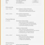 Lebenslauf Openoffice Vorlage Kostenlos Elegant 5 Lebenslauf Muster Kostenlos