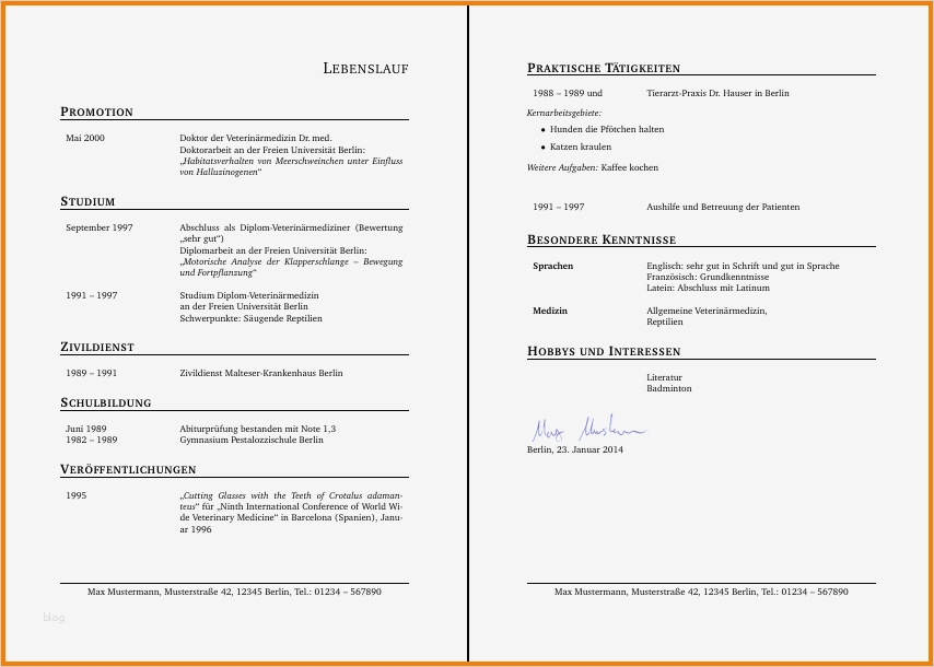 Lebenslauf Powerpoint Vorlage Gut 5 Latex Lebenslauf Vorlage