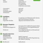 Lebenslauf Praktikum Vorlage Einzigartig Die 25 Besten Ideen Zu Bewerbung Praktikum Muster Auf