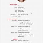 Lebenslauf Schöne Vorlage Angenehm Lebenslauf Vorlage Meinebewerbung