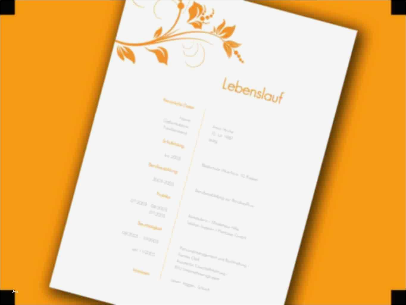 Lebenslauf Schöne Vorlage Best Of Lebenslauf Muster Vorlage Beispiellebenslauf