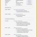 Lebenslauf Schöne Vorlage Großartig 6 Lebenslauf 2016 Muster