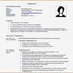 Lebenslauf Schreiben Vorlage Angenehm Biografie Vorlage Beispiel Cool 8 Lebenslauf Schreiben
