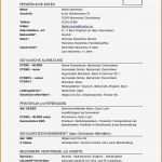 Lebenslauf Schule Vorlage Angenehm 10 Lebenslauf Vorlage Schule