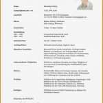 Lebenslauf Schule Vorlage Angenehm 5 Lebenslauf Schule