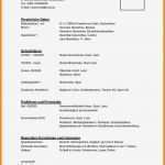 Lebenslauf Schule Vorlage Elegant 9 Lebenslauf Vorlage Schöler