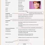 Lebenslauf Schule Vorlage Inspiration 5 Lebenslauf Schule