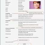 Lebenslauf Schüler Vorlage Bewundernswert 7 Lebenslauf Schüler Vorlage