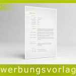 Lebenslauf Vorlage 2016 Bewundernswert Vorlage Lebenslauf Word 2016