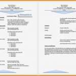 Lebenslauf Vorlage 2016 Erstaunlich 6 Lebenslauf 2016 Muster