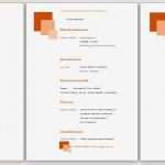 Lebenslauf Vorlage 2017 Kostenlos Downloaden Elegant Lebenslauf Muster Kostenlos Bildungsbibel