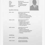 Lebenslauf Vorlage 2017 Word Angenehm Lebenslauf Vorlage 7 Bewerbungsschreiben